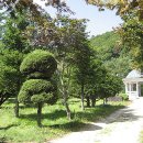 노송목장 이미지