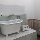 보드레도그 이미지