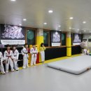 용인대 석사 타이거즈 태권도장 이미지