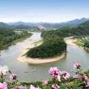 한반도면-8 이미지