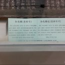 홍화각기 이미지