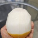 봉농장 | 꿀 참외 !!! 칠곡할매 벌꿀참외 솔직리뷰 봉&amp;춘 농장