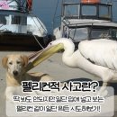 송림두루치기 | 가서 감성 대전 당일치기➰ / 진로집, 프렐듀드, 코페부쉬, 램키드, 송림식당, 키치키치, 어썸유닛, 성심당