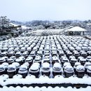 서일농장 이미지