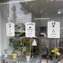 뭇풀 | [진주/상봉동] 진주꽃집추천 집들이화분선물 ,진주 꽃다발추천 ,상봉동꽃집 여러가지풀 <뭇풀>