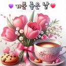 허정박사 건강법 이미지