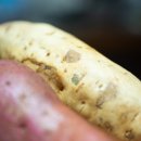 사계절꽃게 이미지