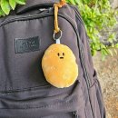 37-B 이미지