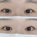 청솔프라자 | [안양] 속눈썹펌 만족한 후기_단하래쉬, 안양역 속눈썹 추천