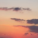 샛별수산 - 5196 | 샛별수산