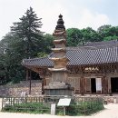순천-62호 | 마곡사: 한국 불교의 살아있는 역사