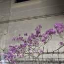 돌쇠본가 이미지