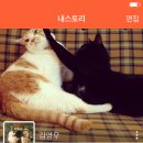 카카오스토리