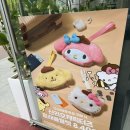 트래블서치 | 던킨도넛 x 산리오캐릭터즈 트래블월렛 내돈내산 구입 후기