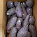 비에이치씨 수송롯데점 이미지