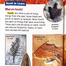 2-21 Clues in rocks 이미지