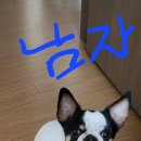 지산로115번길 이미지