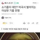 소기름이 대안? 미국서 벌어지는 이상한 기름 전쟁 이미지