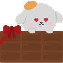 뉴월드동물병원 이미지