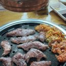 외대갈매기 이미지