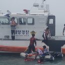 완도고무