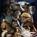 둘레길 펜션 이미지