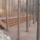 장동산림욕장 이미지