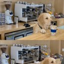 뭉스벨리 이미지