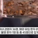 단순 감기인 줄 알았는데...'제2의 에이즈' 감염병 환자 폭증...언론의 역할은 무엇인가? 이미지