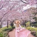 향기4로,향기5로 이미지