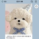 댕모아 네이버블로그