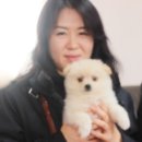 참 조은 훈이네 강아지 이미지