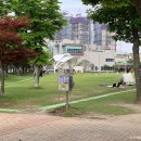 여수 당일치기 여행 :: 오동도 동백열차, 벽화마을, 웅천해수욕장 및 여수맛집 코스 추천 이미지