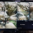 회선농장 이미지