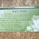 꿩대신닭곰탕 - 창원시 성산구 동산로 124 | 꿩대신닭곰탕