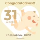 후끈한닭선생 | 단둘이 여행.. 마이애미 여행🏖️☀️ | 임신 후기 해외여행 | 임신 후기 비행기 | 31주차 비행기 | 태교여행...