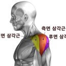 JP PT Studio 이미지