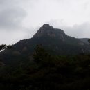 정진사 이미지
