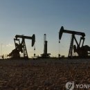 증산-015 이미지