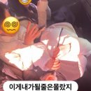꽁치코치