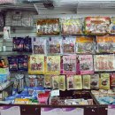 멋내는 애견 이미지