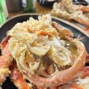 휴먼이즈 절반 다이어트 연말 급찐살 뺀 내돈내산 리얼후기