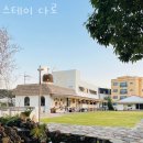 스테이 다로 2 이미지