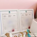 늘봄펫살롱 이미지