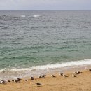 아야진해변 이미지