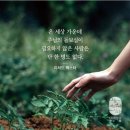 창세기 11:1-9교만한 바벨의 징계, 다양한 언어의 기원 이미지