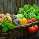 토마토 휘트니스 이미지