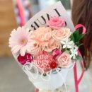 송양중학교 이미지