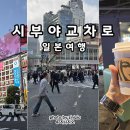 스타벅스 교차로 앞 이미지