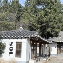솔의정원 | 경주 황리단길 카페 솔(SOL): 인생샷 부르는 정원과 깔끔한 화이트 우드 인테리어